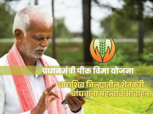 Dharashiv Crop Insurance News